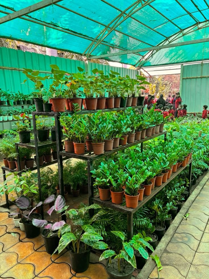 Sale/Trade of Flowers, Plants & Seeds